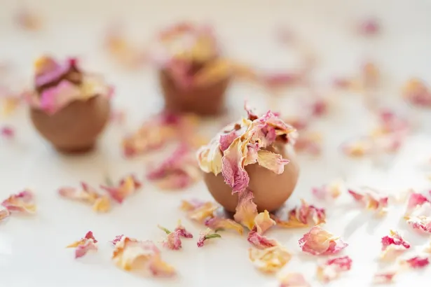 Fever Slots spilavíti Android/iOS Forrit